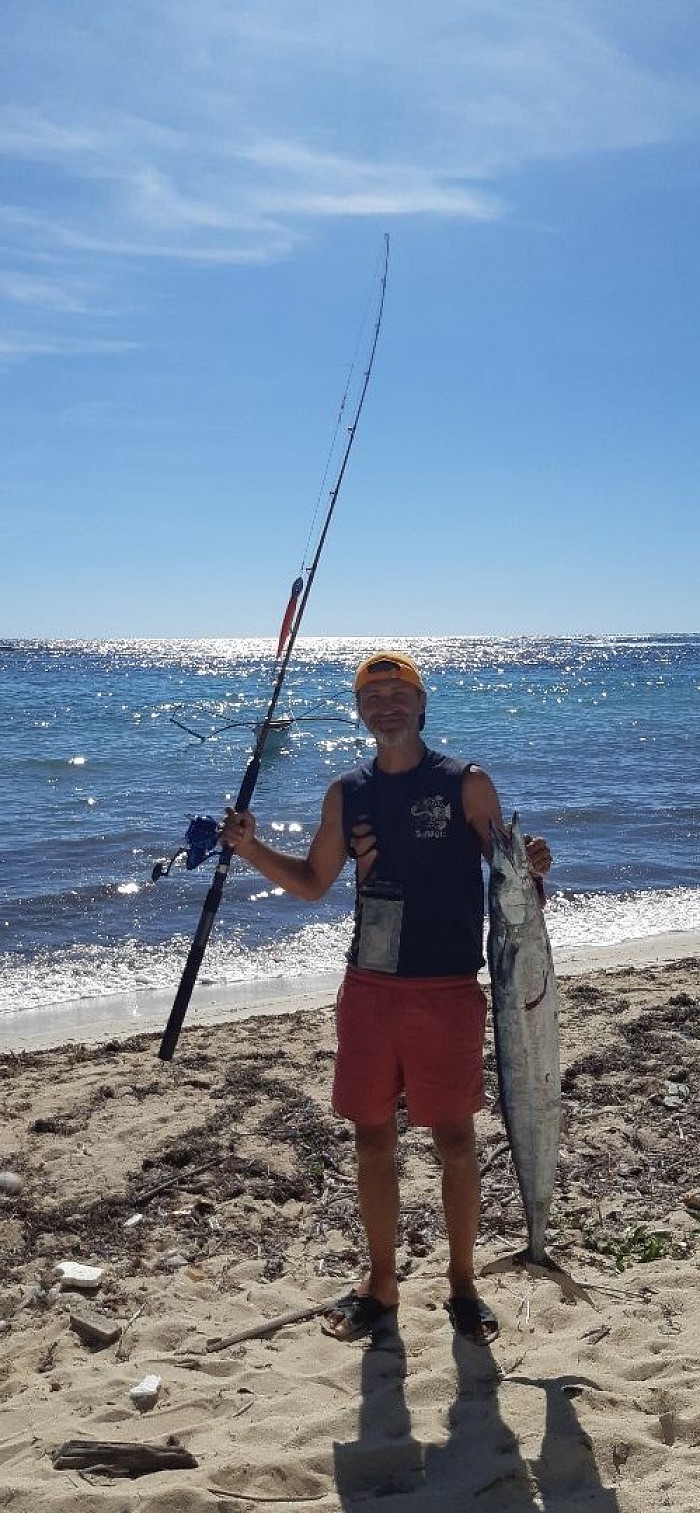 King mackerel