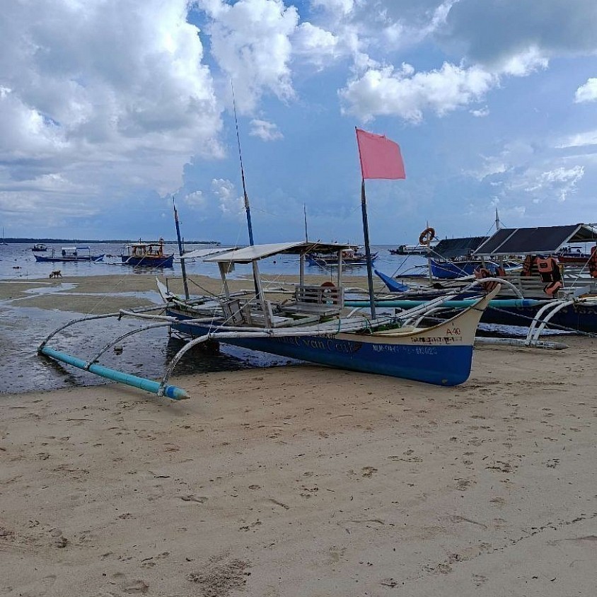 24ft Private Boat Ideal for 2 guests.  4hours – 8000peso   ✔  8-9 hours -14000 peso.  All-inclusive package ✔ Fishing gear provided ✔Snorkeling / spearfishing. Snacks & drinks lunch included.  Coast for the boat.