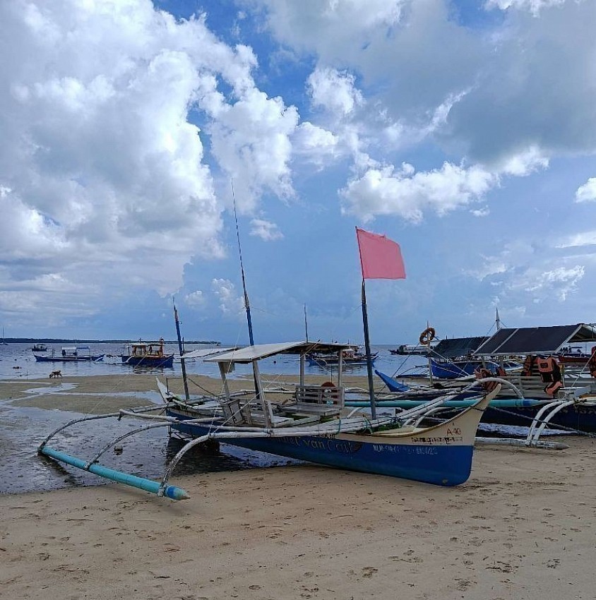 24ft Private Boat Ideal for 2 guests.  4hours – 8000peso   ✔  8-9 hours -14000 peso.  All-inclusive package ✔ Fishing gear provided ✔Snorkeling / spearfishing. Snacks & drinks lunch included.  Coast for the boat.